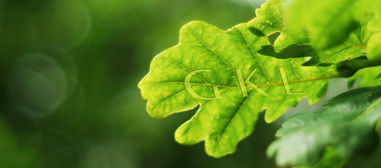 eco leasing
